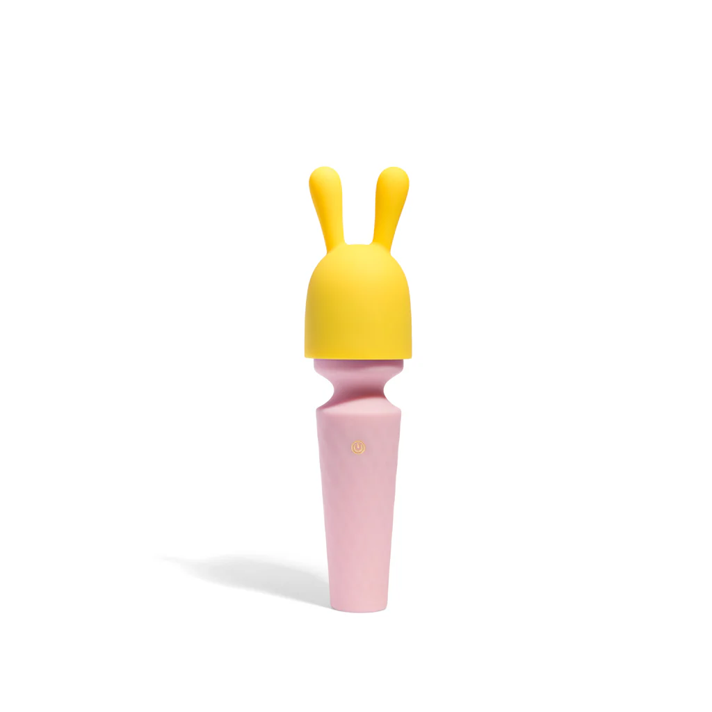 Fundas para Mini Diva - Image 2