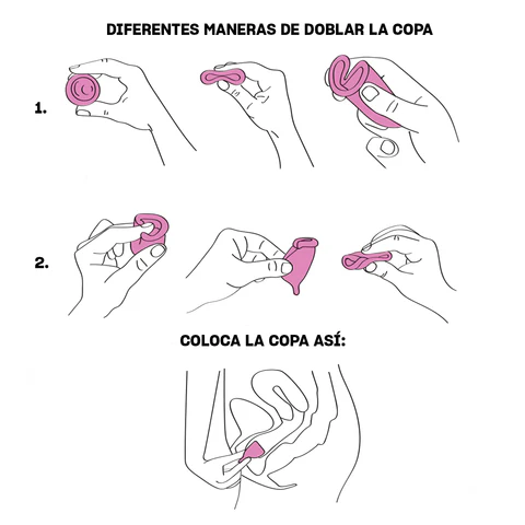 Greta + Vaso esterilizador - Image 2