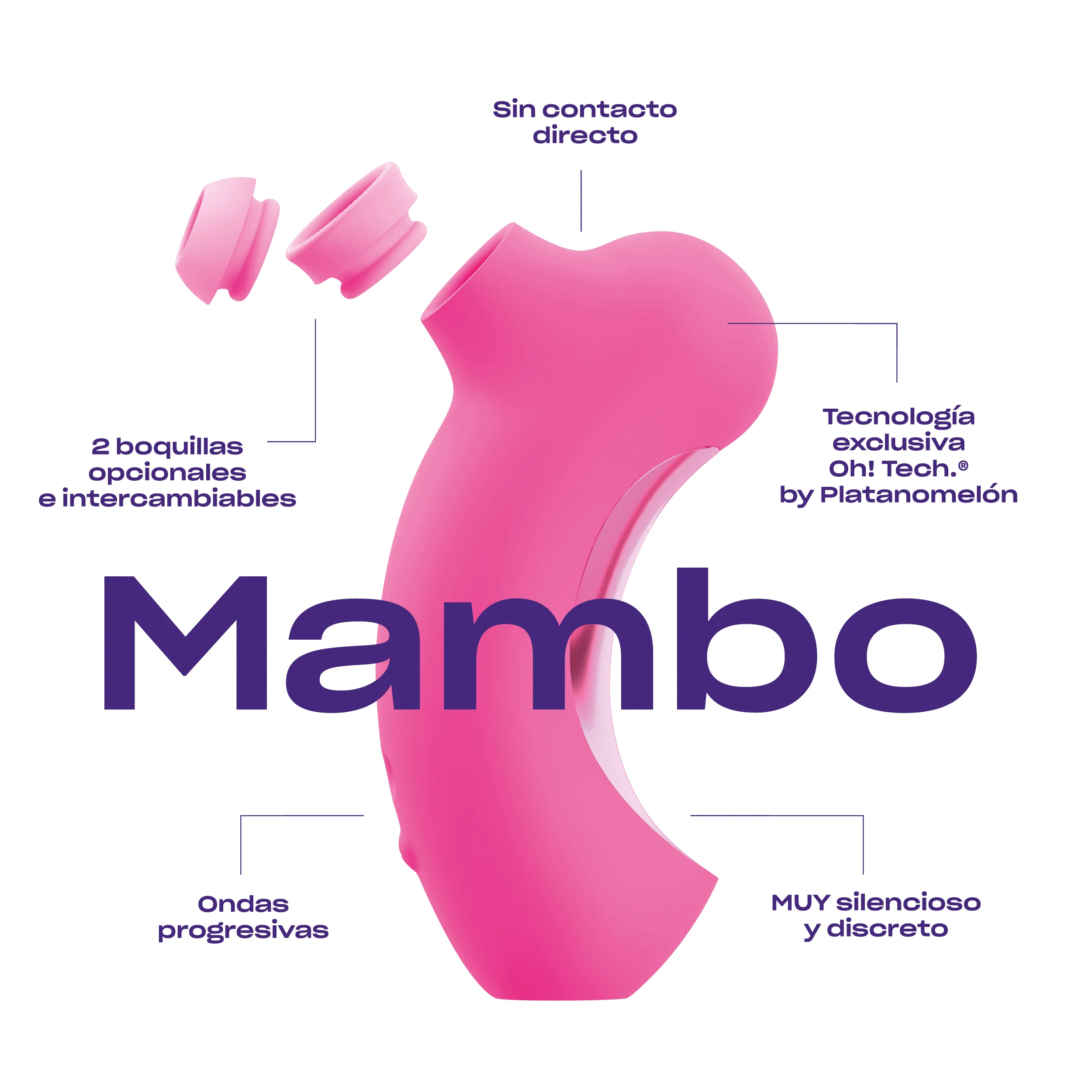 Mambo + Coco - Image 4