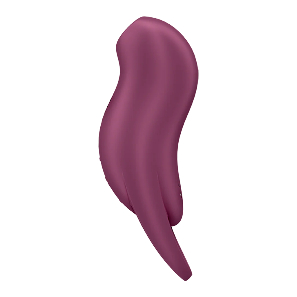 Satisfyer Pocket Pro 1