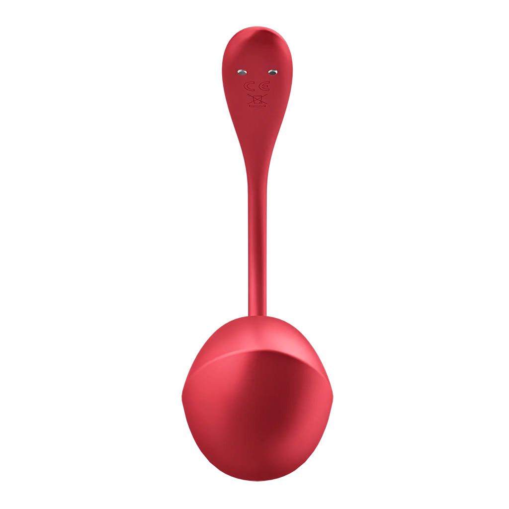 Satisfyer Shiny Petal Connect App - Image 3