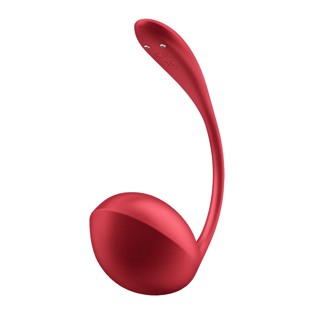 Satisfyer Shiny Petal Connect App - Image 4