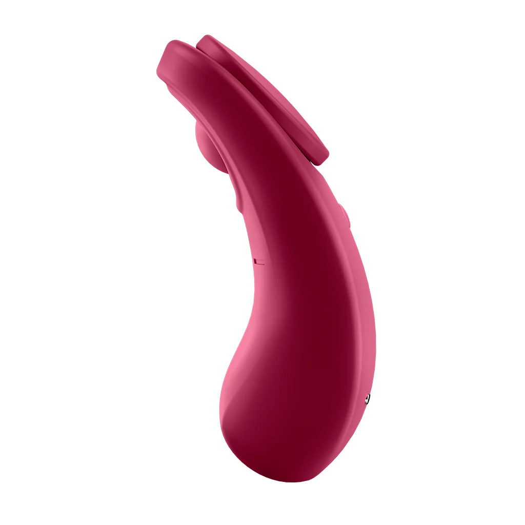 Satisfyer Sexy Secret - Image 5