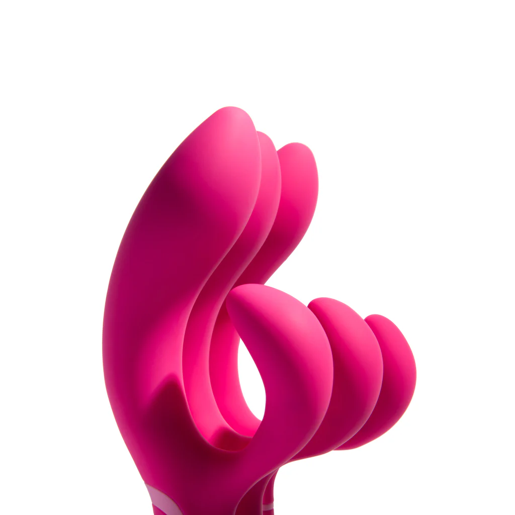 Nito - Image 4